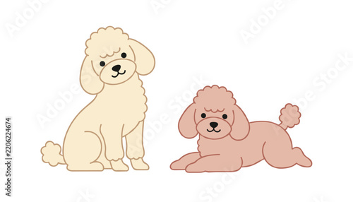 Two adorable poodles with curly fur in different poses including sitting and lying down on a clean white background.