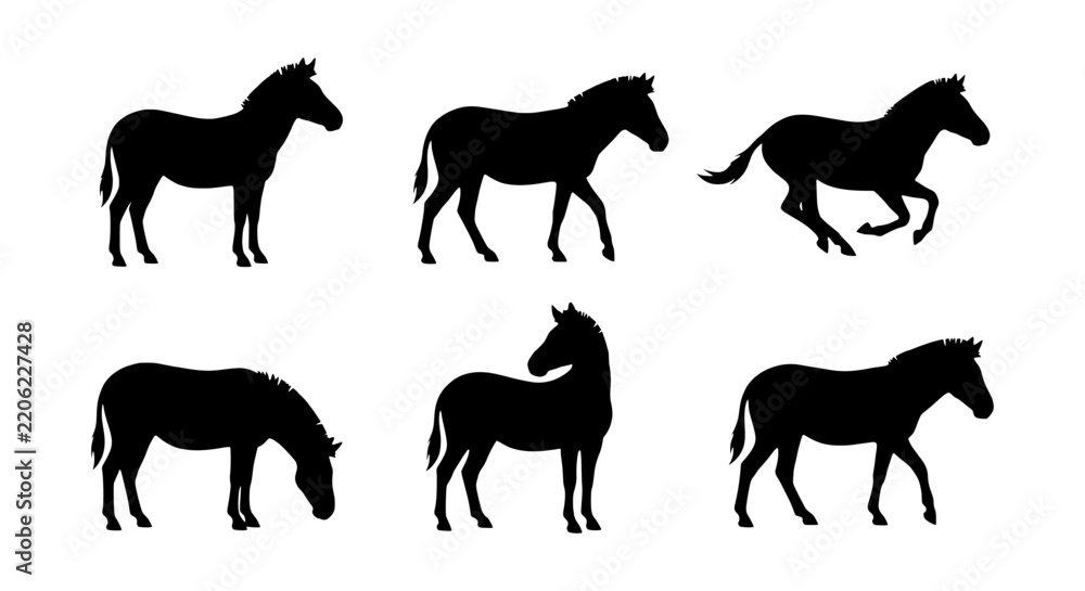 Obraz premium Zebra silhouette vector set, wild horse black silhouettes, safari animal icon collection