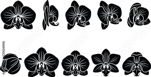 Floral Flower Silhouette Icon Collection with Decorative Botanical and Nature Symbols