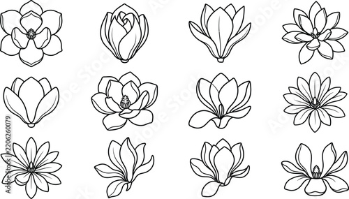 Floral Flower Outline Icon Collection with Decorative Botanical Blossom Designs