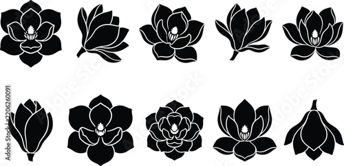 Floral Flower Silhouette Icon Collection with Decorative Botanical Blossom Symbols