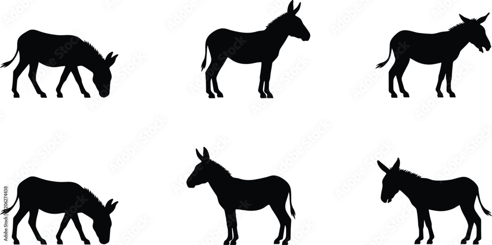 Fototapeta premium Set of black donkey silhouettes in various poses including standing, walking and grazing on white background