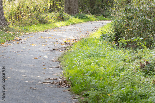 path in the park
