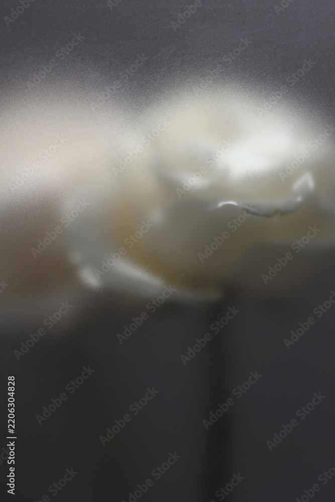 Obraz premium Smoke selected soft focus whiteRose Flower through translucent matte frosted glass. Abstract natural blurred grain light shadow fog background.