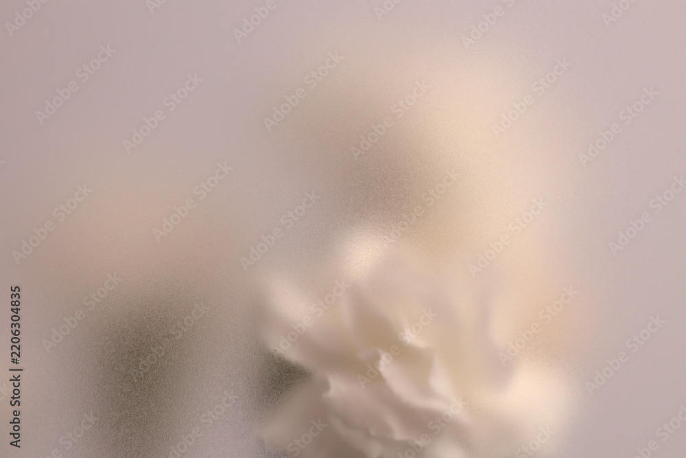 Obraz premium Smoke selected soft focus cream beige white Carnation Flower bouquet through translucent matte frosted glass. Abstract natural blurred grain light fog background.