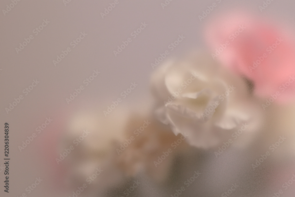 Obraz premium Smoke selected soft focus cream beige white, pink Carnation Flower bouquet through translucent matte frosted glass. Abstract natural blurred grain light fog background.