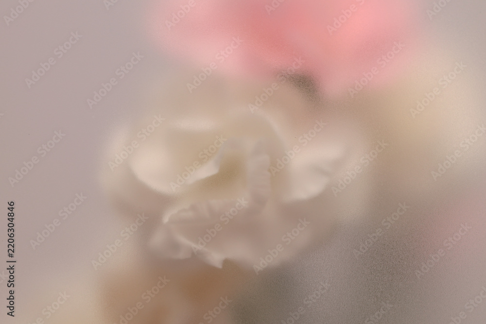 Obraz premium Smoke selected soft focus cream beige white, pink Carnation Flower bouquet through translucent matte frosted glass. Abstract natural blurred grain light fog background.