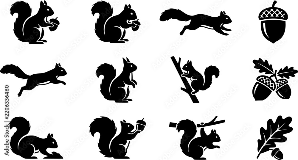 Fototapeta premium Squirrel & Acorn Silhouette Icon Set. Collection of nature & wildlife silhouettes, including squirrel & acorn, detailed land mammal shapes, and more.