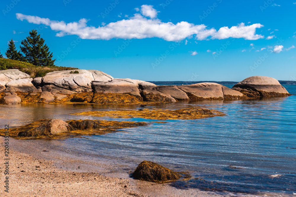Fototapeta premium Large Coastal Rock Formations and Seaweed at Low Tide Deer Isle Maine