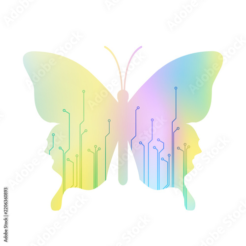 Colorful Butterfly, Isolated on white background
