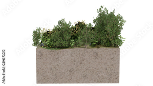 3d rendering of a landscape with greenery and soil layer