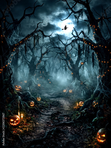 Spooky dark forest landscape creepy trees fog mysterious night autumn woods environment