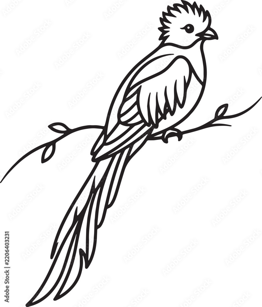 Obraz premium Minimalist line art illustration of a full body quetzal perched