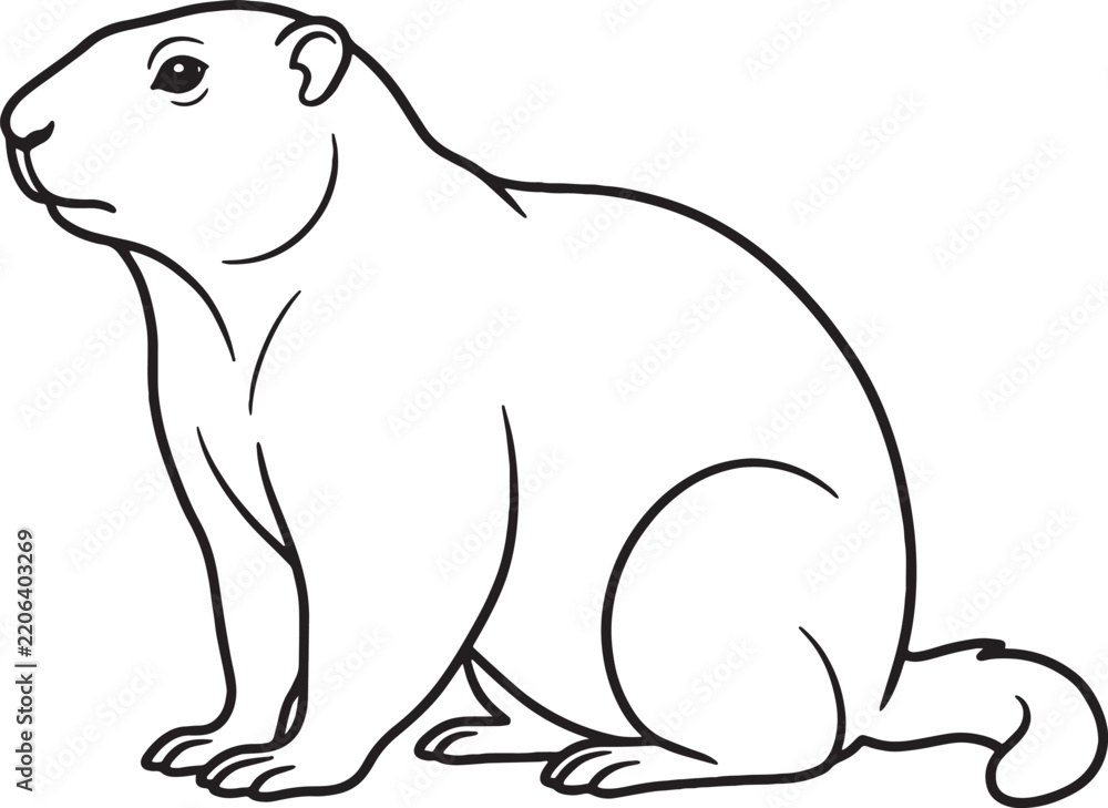 Obraz premium Minimalist line art illustration of a full body marmot sitting