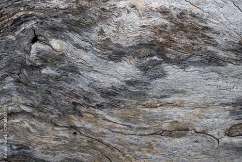 Wood texture