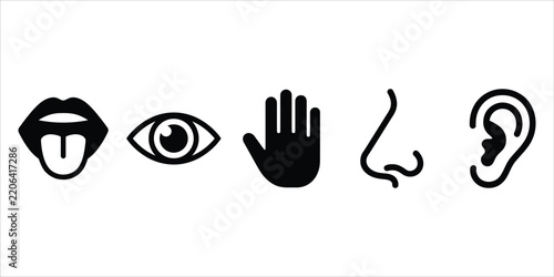 Five Human Senses Black Silhouette Vector Icons