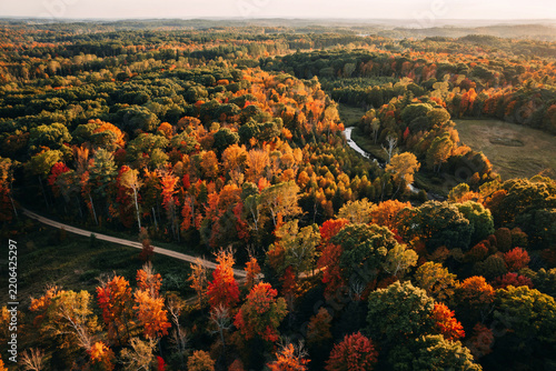 Aerial view of a autumn forest with a country road winding through landscape wilderness