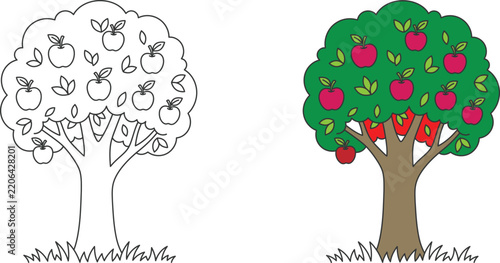 Comparison of a hand drawn black and white apple tree sketch next to a colorful illustration