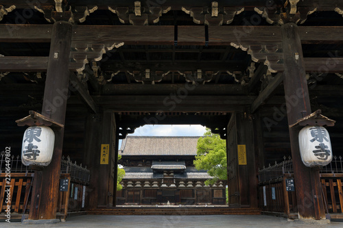 Tapety artystyczne 京都東寺の南大門から金堂