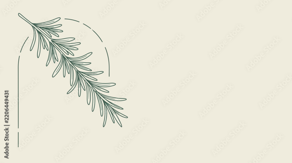 Obraz premium Rosemary sprig, minimalist line art, isolated on transparent background