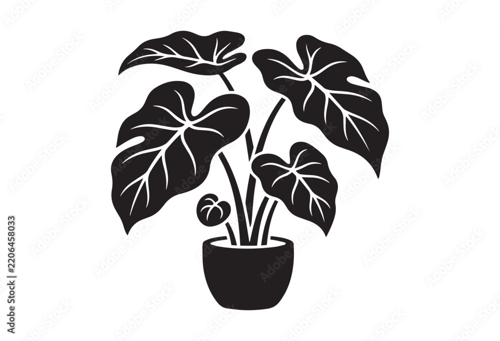 Naklejka premium Minimalist black silhouette of an alocasia houseplant in potted. Elephant ear plant silhouette.