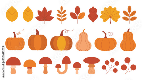 Autumn Harvest Elements Collection with Pumpkins Leaves Mushrooms and Berries