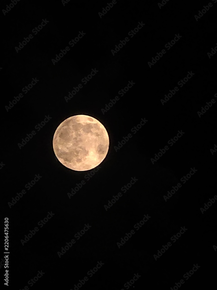 Obraz premium full moon in the night sky