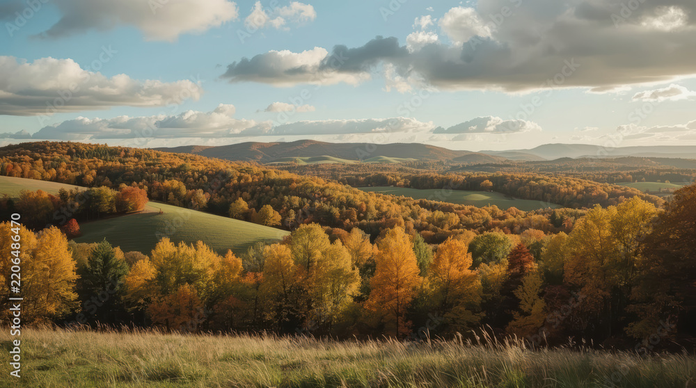 Fototapeta premium Autumn landscape rolling hill colorful forest dramatic cloud