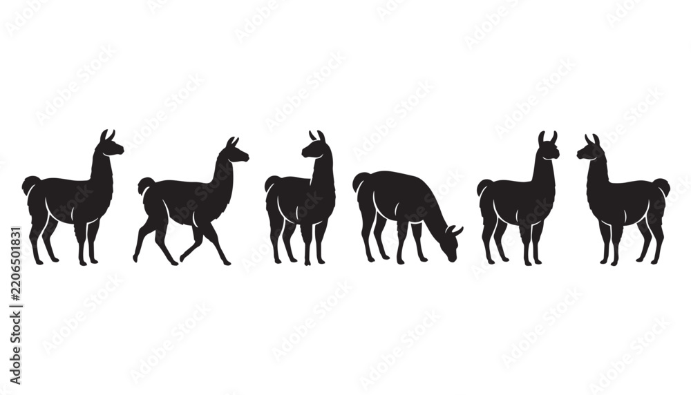 Obraz premium black color silhouette set of six llama vector illustration, solid white background
