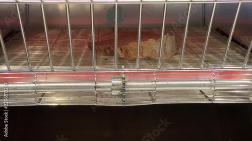 Closeup View of Slice of Bread Toasting in Conveyor Toaster.
