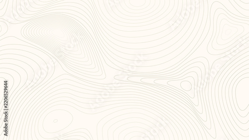 Seamless Topographic Contour Line Pattern