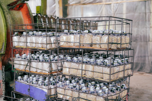 Stacked Mushroom Spawn Bags in Metal Crates