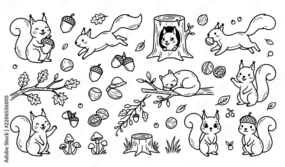 Fototapeta premium Squirrel Doodle Hand Drawn Clipart Set – Woodland Animal Sketch Vector Collection