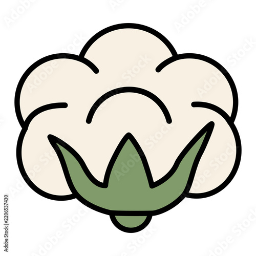 Flat illustration vector icon of an open raw organic cotton boll capsule, sustainable material vector. Sustainable Fashion Icon Concept.