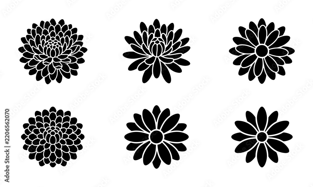 Obraz premium Chrysanthemum flower icons, solid glyph, logo