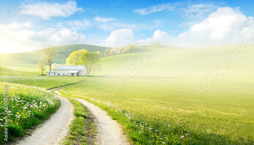 Misty countryside meadow with farmhouse, wildflowers and winding path