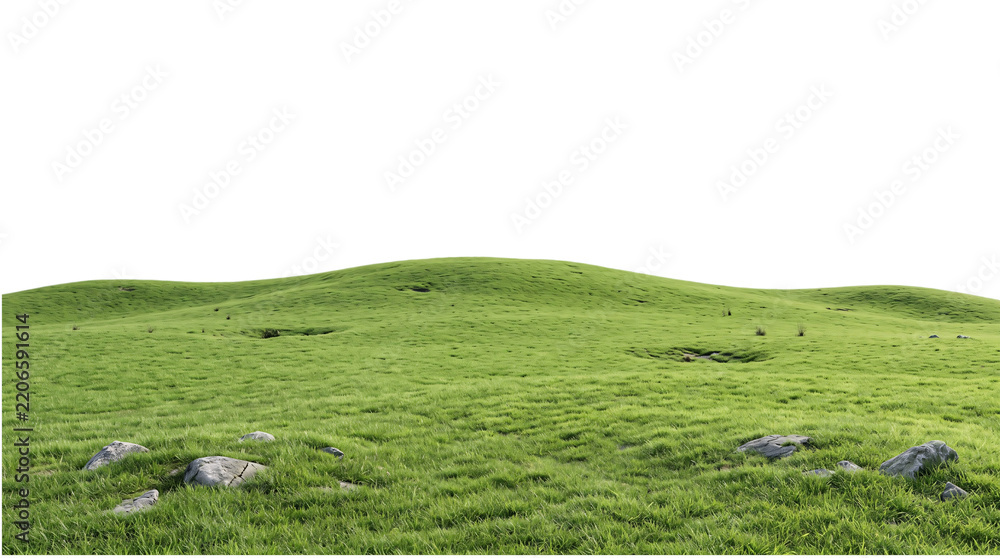 Naklejka premium Rolling green hillside with scattered rocks isolated on transparent background