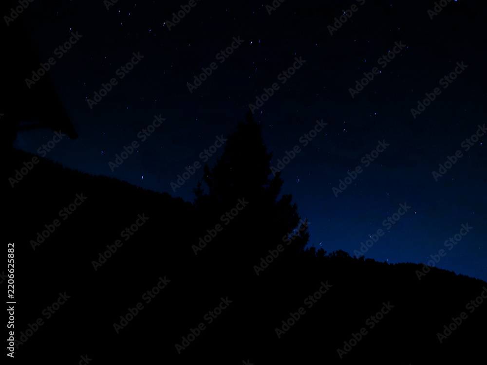 Fototapeta premium Starry night sky with the silhouette of a pine tree and a dark mountain