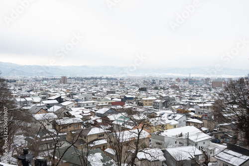 Japan Winter City
