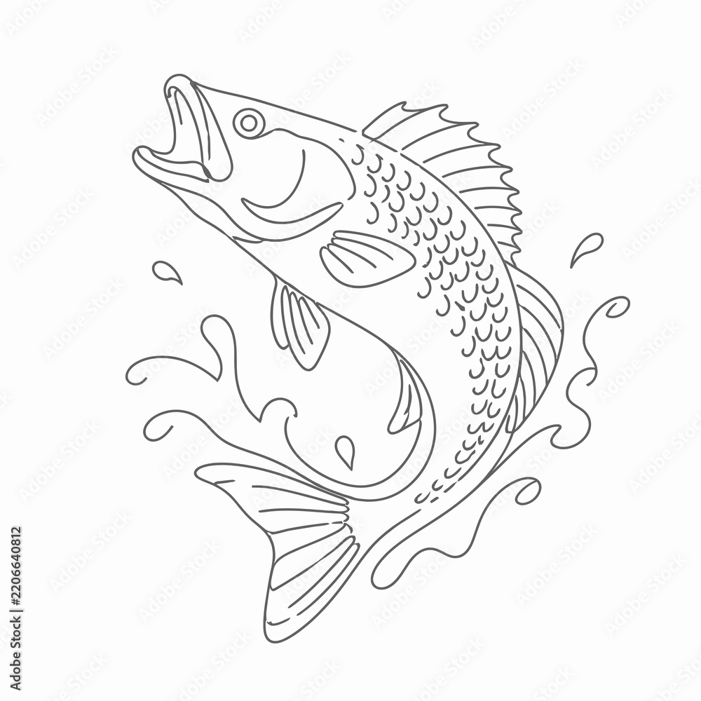 Obraz premium Jumping Bass Fish Line Art Vector Illustration