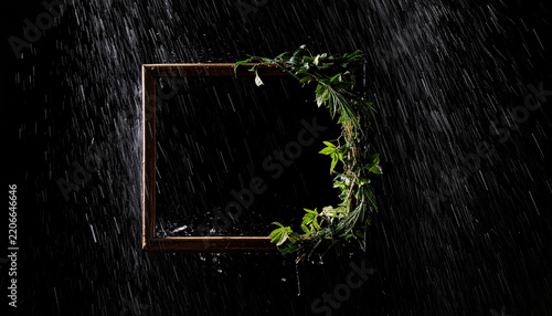 Square wooden frame adorned with lush green vines and leaves, dramatically illuminated by falling rain against a dark background