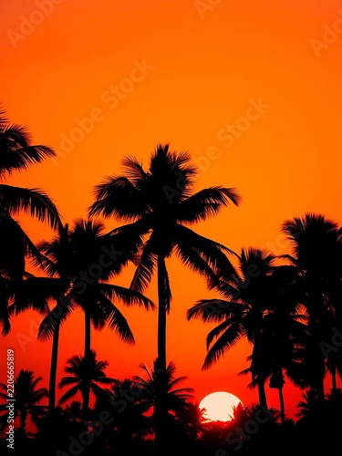 Palm tree silhouettes against vibrant orange sunset sky, poster, peaceful