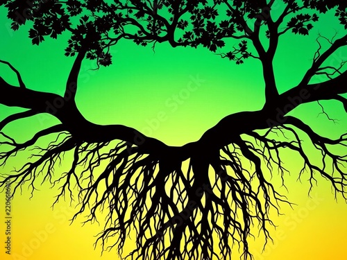 Silhouette of tree roots forming a circular shape, nature, artistic
