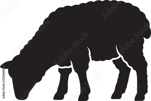  Sheep grazing silhouette on white background.