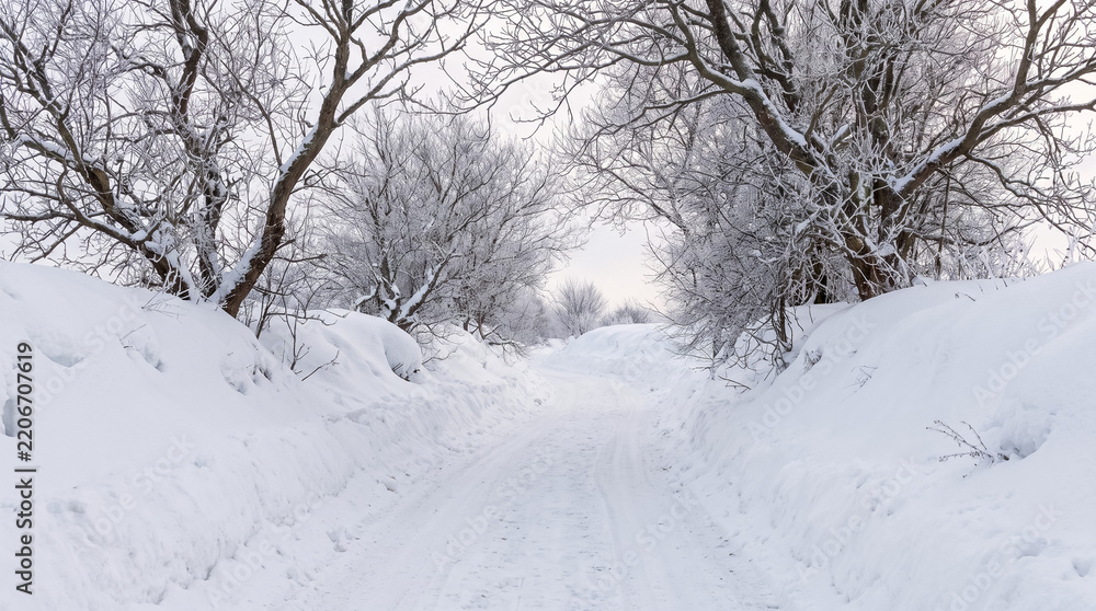 Fototapeta premium Wintery scene featuring a snow covered dirt path winding through icy trees and thick snow piles under a cloudy sky