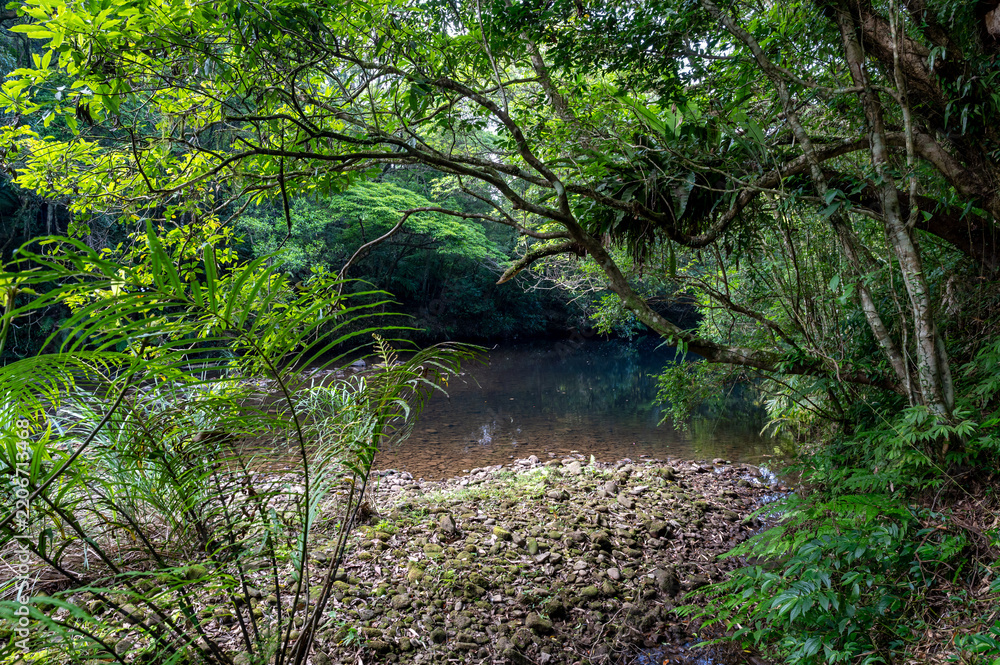Obraz premium Relax scene by the riverside of Hubaotan Scenic Area, in New Taipei City, Taiwan.