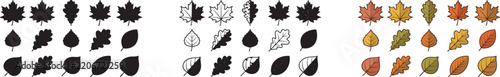 Autumn tree leaves set in silhouette line art and color vector design