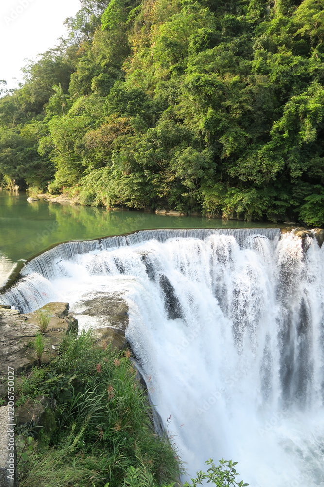Fototapeta premium Shifen Waterfall Scenic View in Green Forest, Taiwan