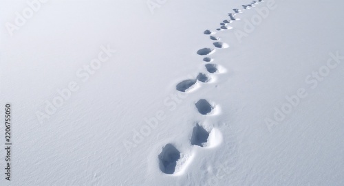 An empty undisturbed snow field with single set of footprints illustrating solitude and tranquility in winter landscape photography, Photograph of empty undisturbed snow field with a single set