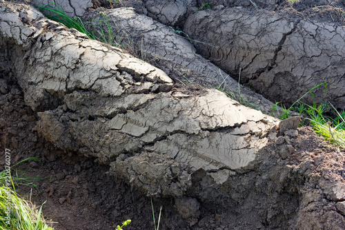 Moldboard plowing of overgrown virgin soil showing massive rolled earth chunks and deep dark dirt furrows